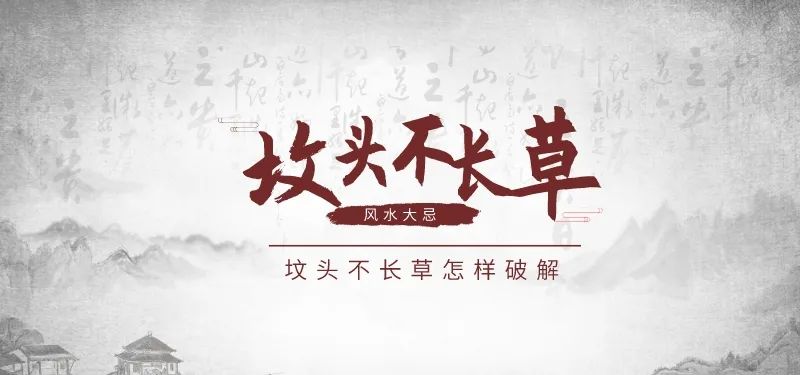 坟头不长草怎样破解 图片