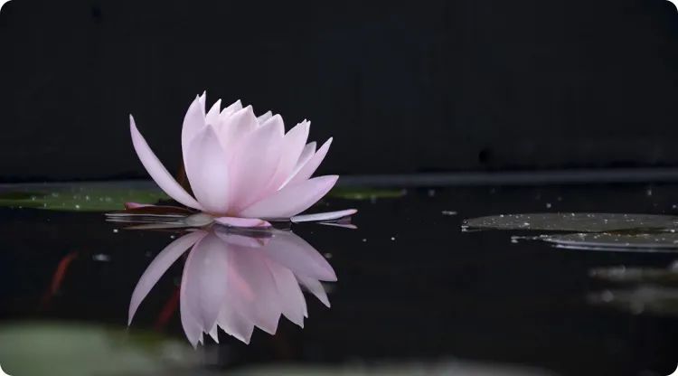 1637119525257283.jpg 图片