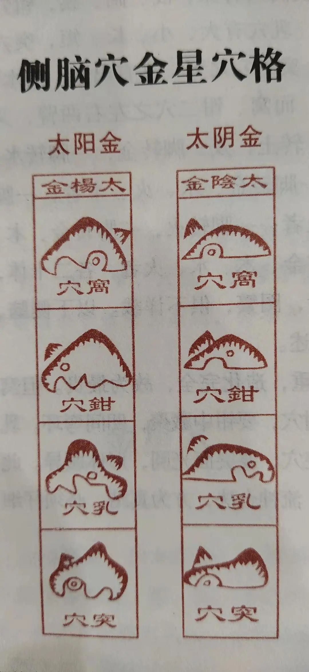 573f9063fd1c29722fb90d8d08c2718.jpg 图片