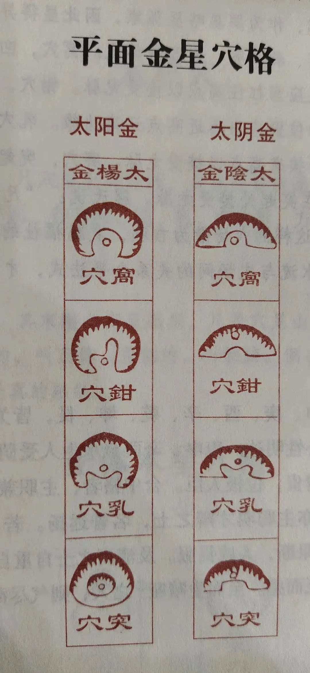 b0dfca26681ddc1204632ceb5f2900d.jpg 图片