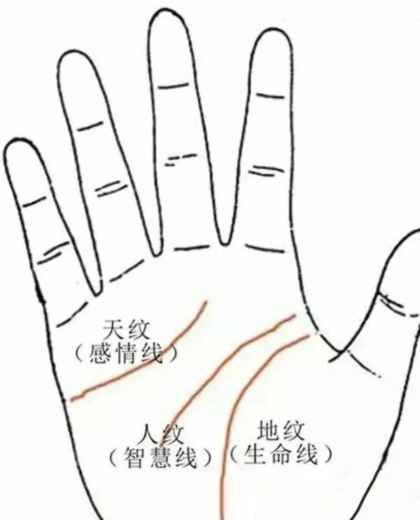 1535010498481.jpg 图片