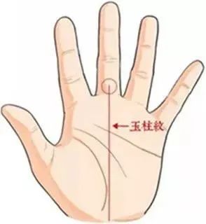 1535010657101.jpg 图片