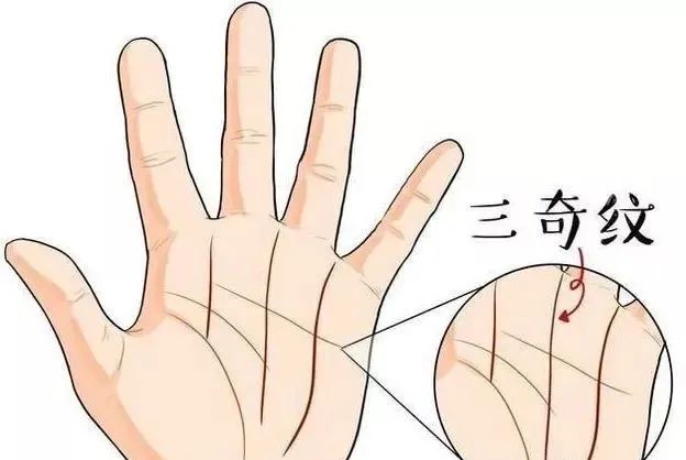 1535010680447.jpg 图片
