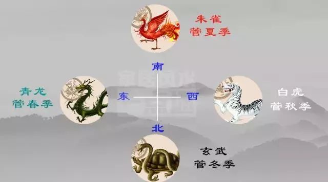 1501237618892.jpg 图片