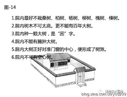 图解•树木对住宅的影响 图片