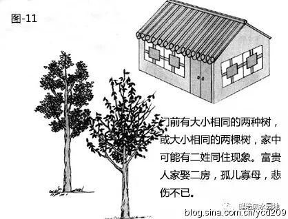 图解•树木对住宅的影响 图片