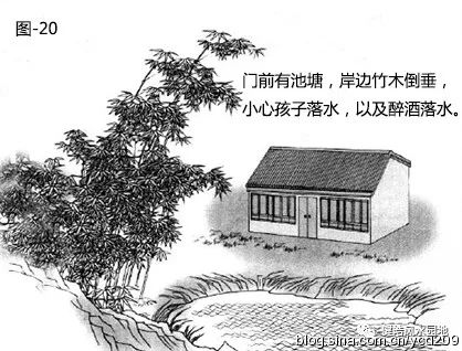 图解•树木对住宅的影响 图片