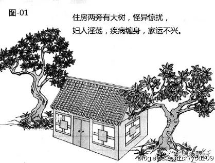 图解•树木对住宅的影响 图片
