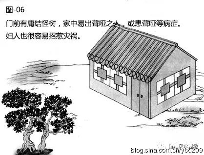 图解•树木对住宅的影响 图片