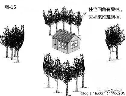 图解•树木对住宅的影响 图片