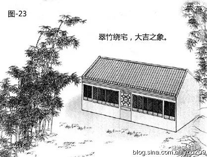 图解•树木对住宅的影响 图片