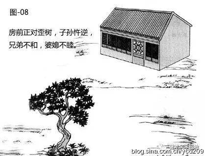 图解•树木对住宅的影响 图片