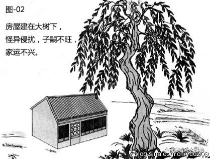 图解•树木对住宅的影响 图片