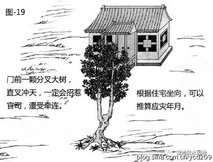 图解•树木对住宅的影响 图片