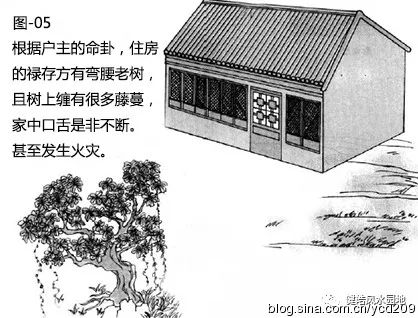图解•树木对住宅的影响 图片