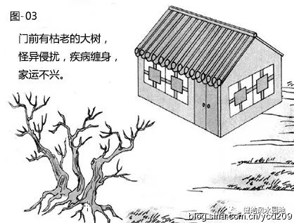 图解•树木对住宅的影响 图片