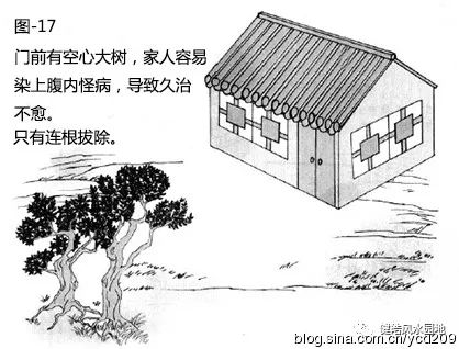 图解•树木对住宅的影响 图片