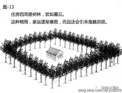 图解•树木对住宅的影响 图片