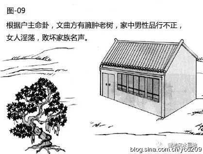 图解•树木对住宅的影响 图片