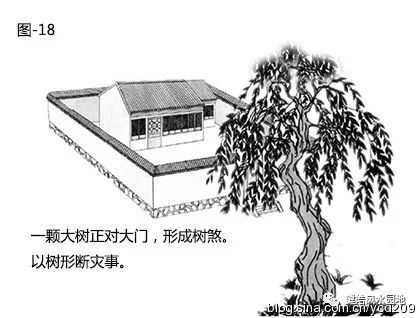 图解•树木对住宅的影响 图片