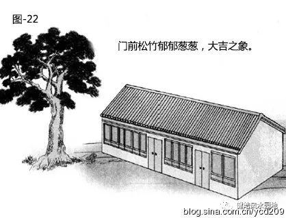 图解•树木对住宅的影响 图片