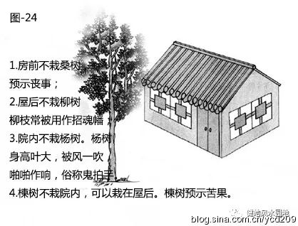 图解•树木对住宅的影响 图片