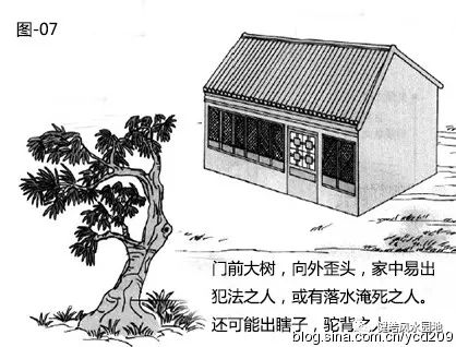 图解•树木对住宅的影响 图片
