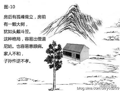图解•树木对住宅的影响 图片