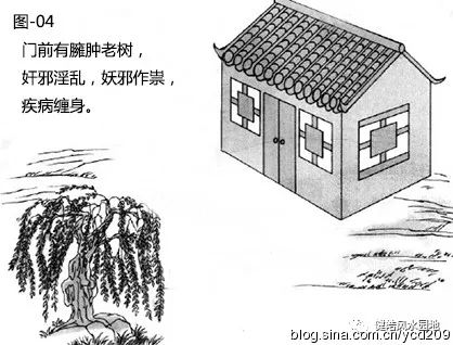 图解•树木对住宅的影响 图片