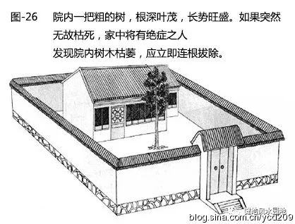 图解•树木对住宅的影响 图片