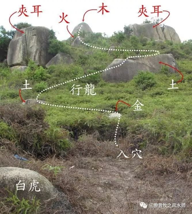 timg (1).jpg 图片
