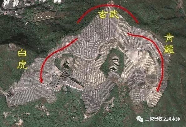timg.jpg 图片