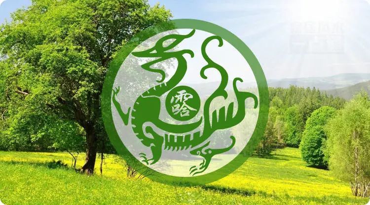 1560404407694776.jpg 图片