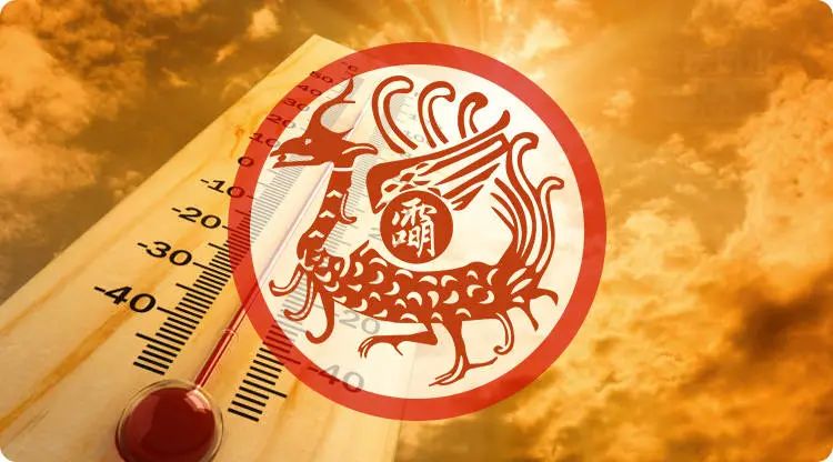 1560404407694776.jpg 图片