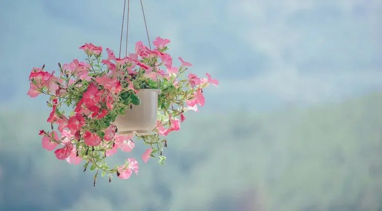 1661408028900099.jpg 图片