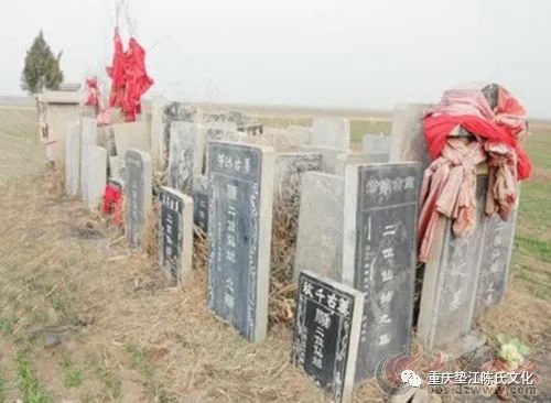 点击浏览下一张 图片