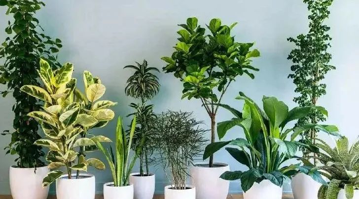 1560404407694776.jpg 图片