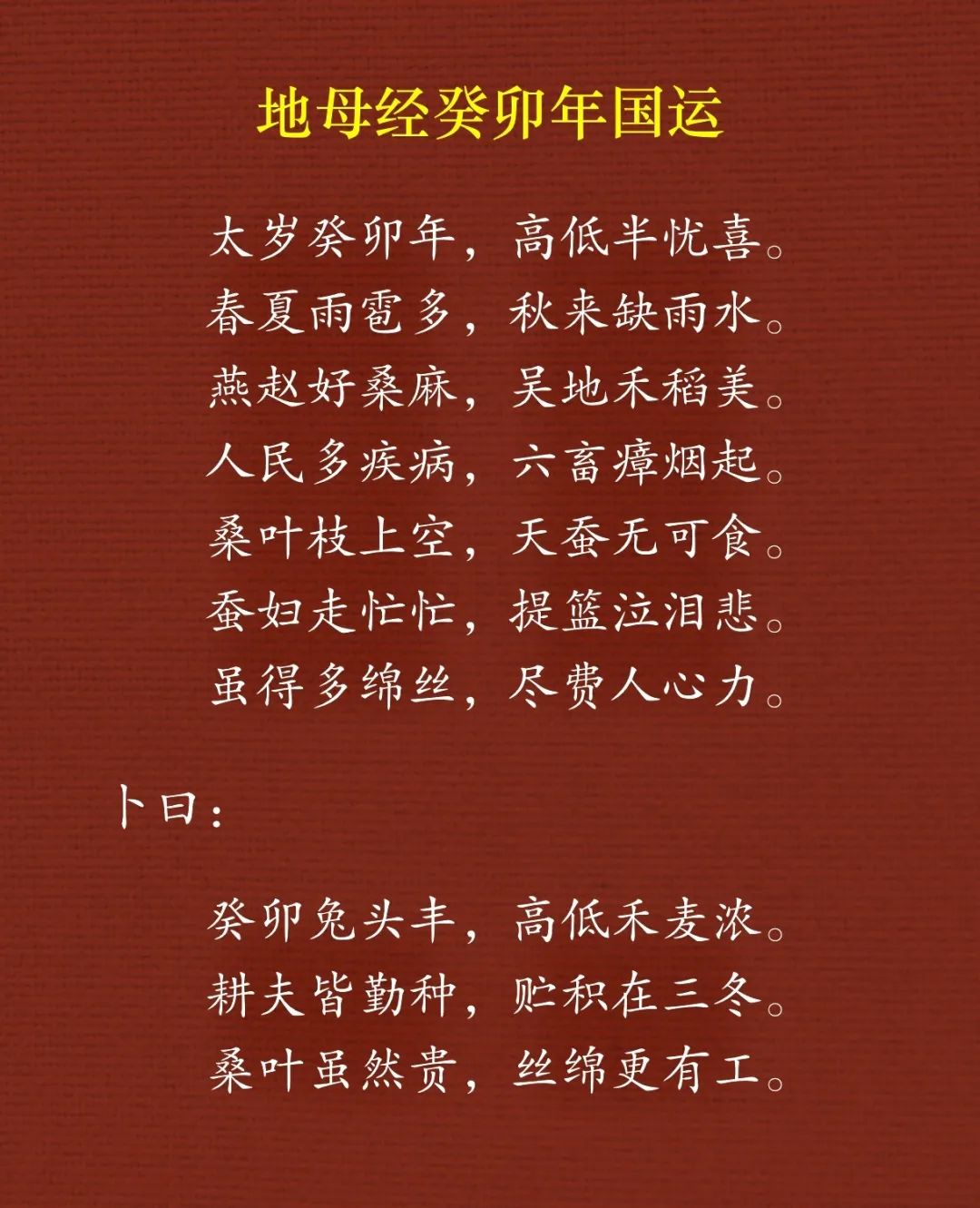 IMG_7347.jpg 图片