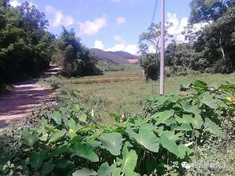 四绝之地的阳宅风水,经典的风水案例 图片