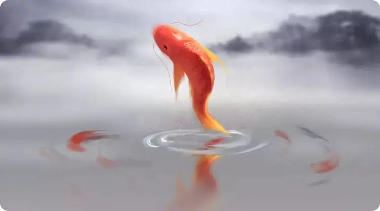 1560404407694776.jpg 图片