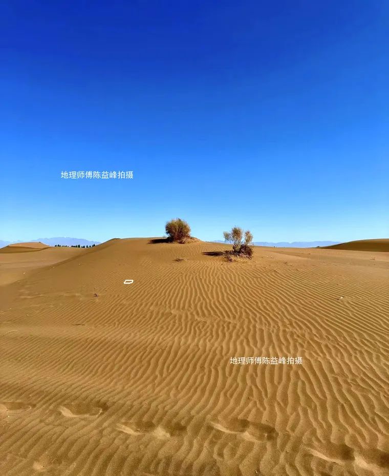 1729393150266973.jpg 图片