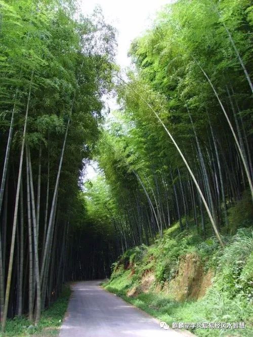 阳宅风水的条件