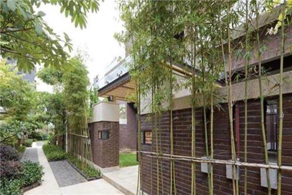 住宅大门旁种竹子好不好 住宅大门旁种竹子好不好