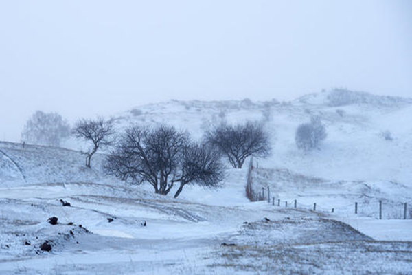 八字辰戌丑未的用法 八字辰戌丑未的用法