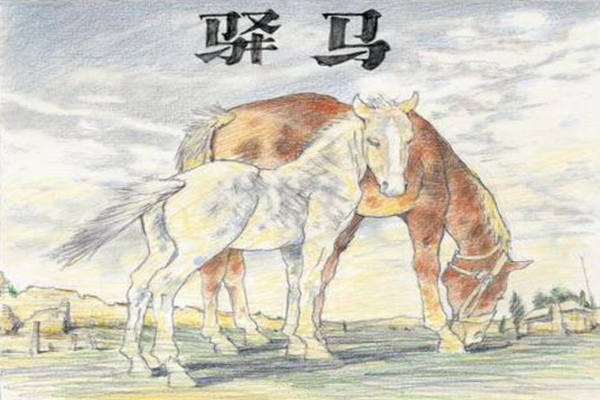 八字寅申巳亥详解 八字寅申巳亥详解