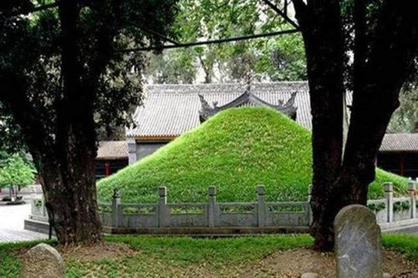 坟墓前种什么树旺子孙 坟墓前种什么树旺子孙