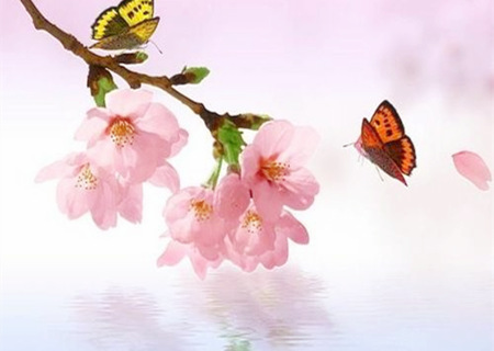 如何确定自己的桃花位 如何确定自己的桃花位