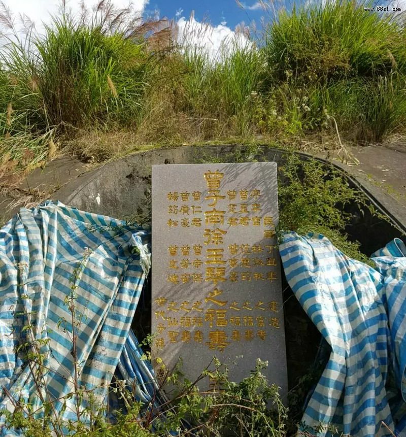 富贵福寿生基改运法哪些子 富贵福寿生基改运法哪些子
